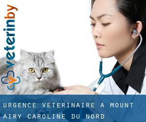 Urgence vétérinaire à Mount Airy (Caroline du Nord)