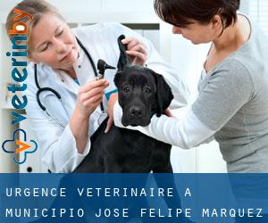 Urgence vétérinaire à Municipio José Felipe Márquez Cañizales