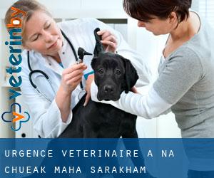 Urgence vétérinaire à Na Chueak (Maha Sarakham)
