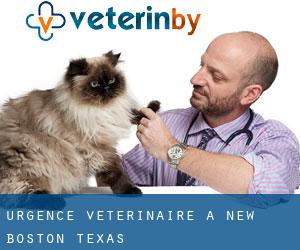 Urgence vétérinaire à New Boston (Texas)