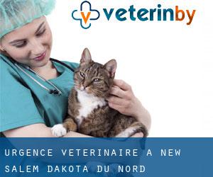Urgence vétérinaire à New Salem (Dakota du Nord)