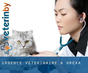Urgence vétérinaire à Orexa