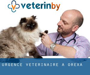 Urgence vétérinaire à Orexa
