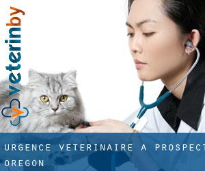 Urgence vétérinaire à Prospect (Oregon)