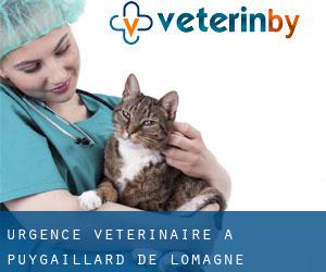 Urgence vétérinaire à Puygaillard-de-Lomagne