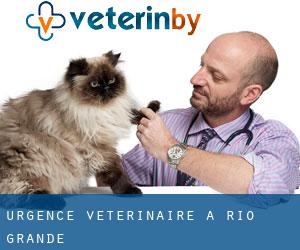Urgence vétérinaire à Rio Grande