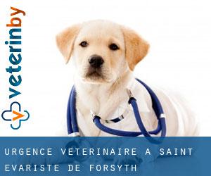 Urgence vétérinaire à Saint-Évariste-de-Forsyth