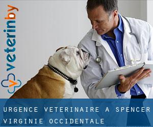 Urgence vétérinaire à Spencer (Virginie-Occidentale)