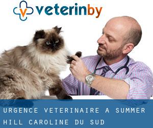 Urgence vétérinaire à Summer Hill (Caroline du Sud)