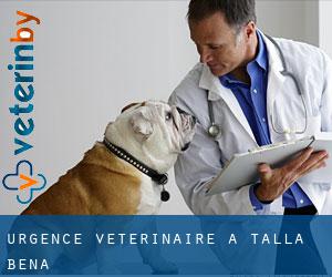 Urgence vétérinaire à Talla Bena