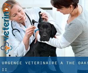 Urgence vétérinaire à The Oaks II