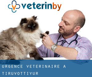 Urgence vétérinaire à Tiruvottiyūr