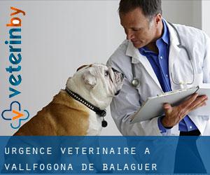 Urgence vétérinaire à Vallfogona de Balaguer