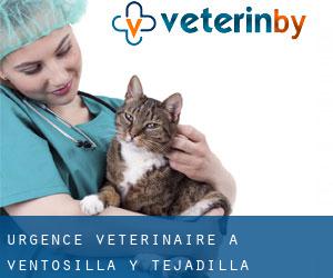 Urgence vétérinaire à Ventosilla y Tejadilla