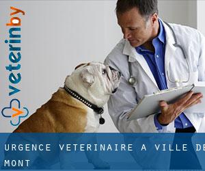 Urgence vétérinaire à Ville de Mont