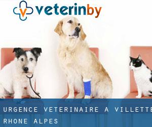 Urgence vétérinaire à Villette (Rhône-Alpes)