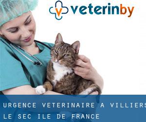 Urgence vétérinaire à Villiers-le-Sec (Île-de-France)
