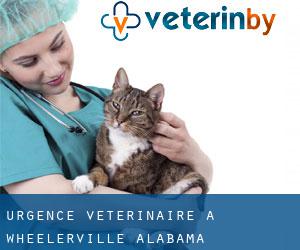 Urgence vétérinaire à Wheelerville (Alabama)