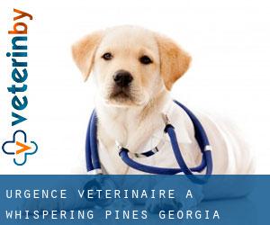 Urgence vétérinaire à Whispering Pines (Georgia)