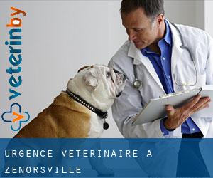 Urgence vétérinaire à Zenorsville