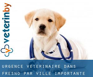 Urgence vétérinaire dans Fresno par ville importante - page 3