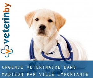 Urgence vétérinaire dans Madison par ville importante - page 1
