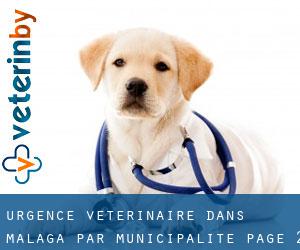 Urgence vétérinaire dans Malaga par municipalité - page 2