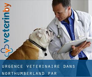 Urgence vétérinaire dans Northumberland par municipalité - page 1