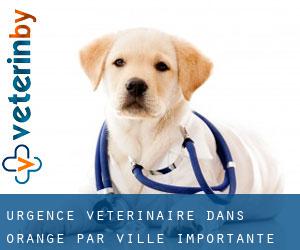 Urgence vétérinaire dans Orange par ville importante - page 3