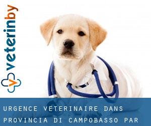 Urgence vétérinaire dans Provincia di Campobasso par ville - page 3