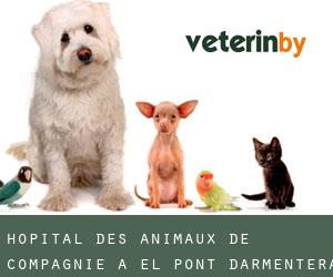 Hôpital des animaux de compagnie à el Pont d'Armentera