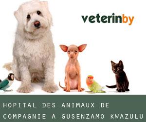 Hôpital des animaux de compagnie à Gusenzamo (KwaZulu-Natal)