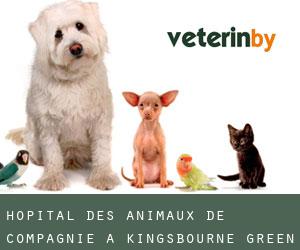 Hôpital des animaux de compagnie à Kingsbourne Green