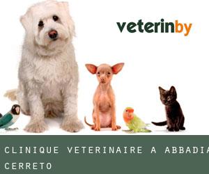 Clinique vétérinaire à Abbadia Cerreto