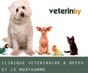 Clinique vétérinaire à Beffu-et-le-Morthomme