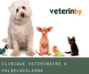 Clinique vétérinaire à Valdelacalzada