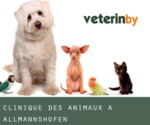 Clinique des animaux à Allmannshofen