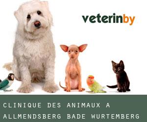 Clinique des animaux à Allmendsberg (Bade-Wurtemberg)