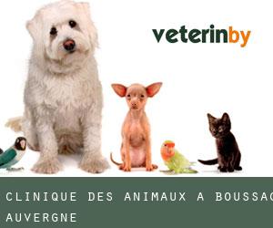Clinique des animaux à Boussac (Auvergne)