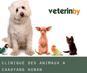 Clinique des animaux à Chaoyang (Hunan)