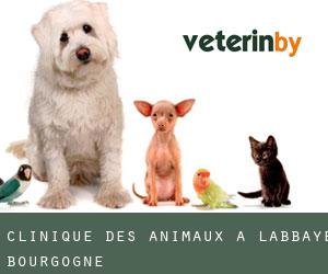 Clinique des animaux à L'Abbaye (Bourgogne)