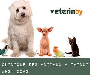 Clinique des animaux à Tainui (West Coast)