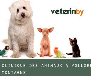 Clinique des animaux à Vollore-Montagne