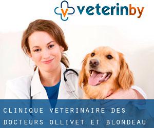 Clinique Vétérinaire des Docteurs Ollivet et Blondeau (Le Raincy)