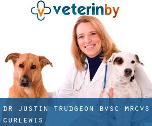 Dr. Justin Trudgeon, BVSc, MRCVS (Curlewis)