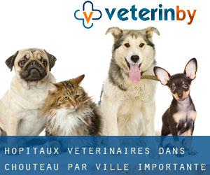 hôpitaux vétérinaires dans Chouteau par ville importante - page 1
