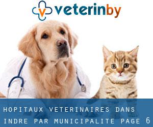 hôpitaux vétérinaires dans Indre par municipalité - page 6