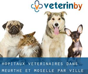hôpitaux vétérinaires dans Meurthe-et-Moselle par ville importante - page 4