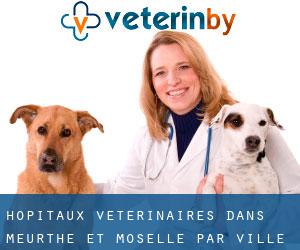 hôpitaux vétérinaires dans Meurthe-et-Moselle par ville - page 2