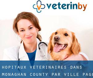 hôpitaux vétérinaires dans Monaghan County par ville - page 6